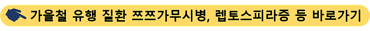 가을철 유행 질환-쯔쯔가무시병