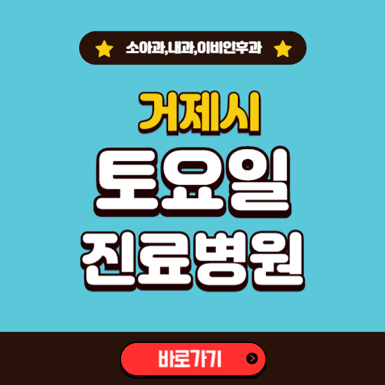 거제시 토요일 진료 병원 찾기 ❘ 주말 문여는 소아과, 내과, 이비인후과 리스트