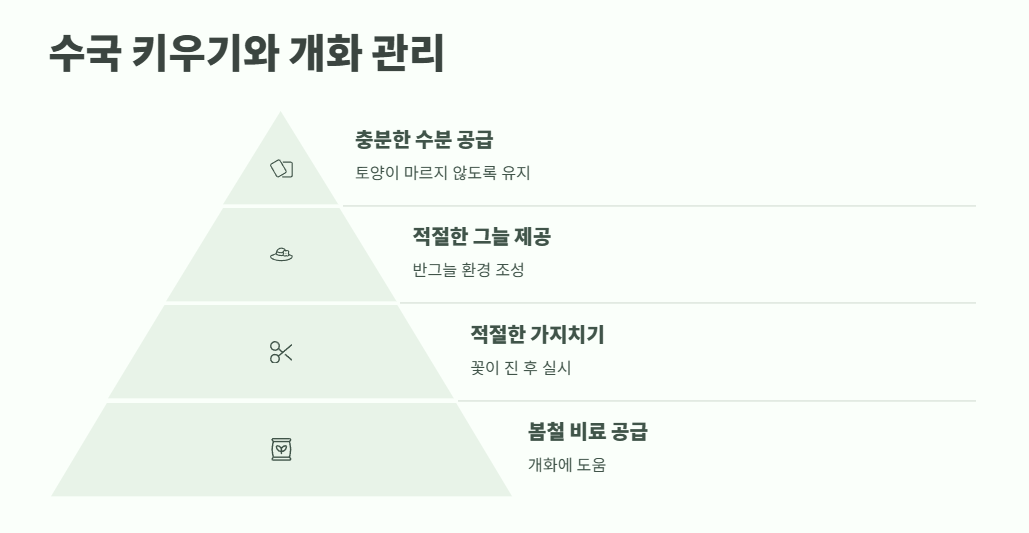 수국 개화시기 완벽 정리 7
