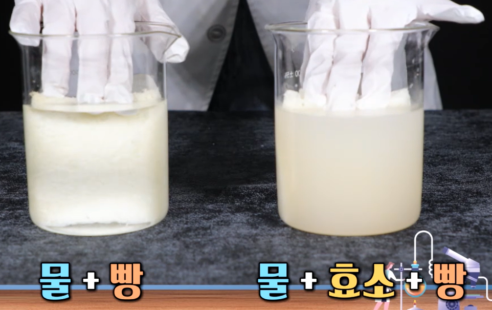 카무트 효소 효능