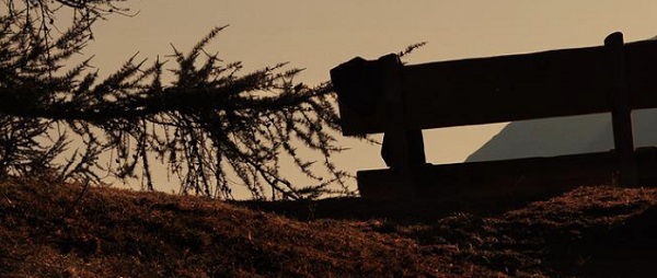 일본 고령화 초고령사회 문제점 - 돌봄 간병 사회보장 노후생활 연금부족