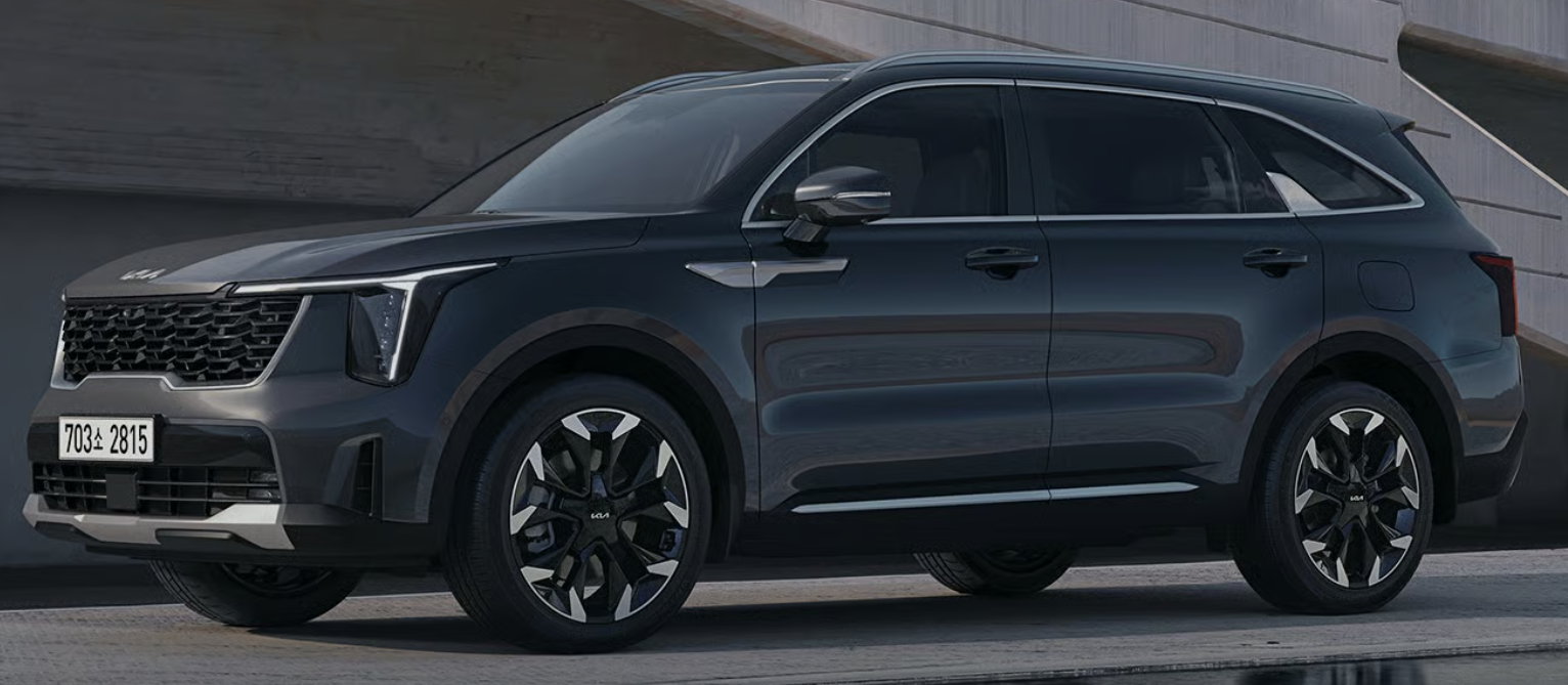 25년 12월 자동차 판매량 순위