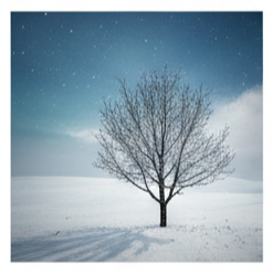 새해 인사말 이미지