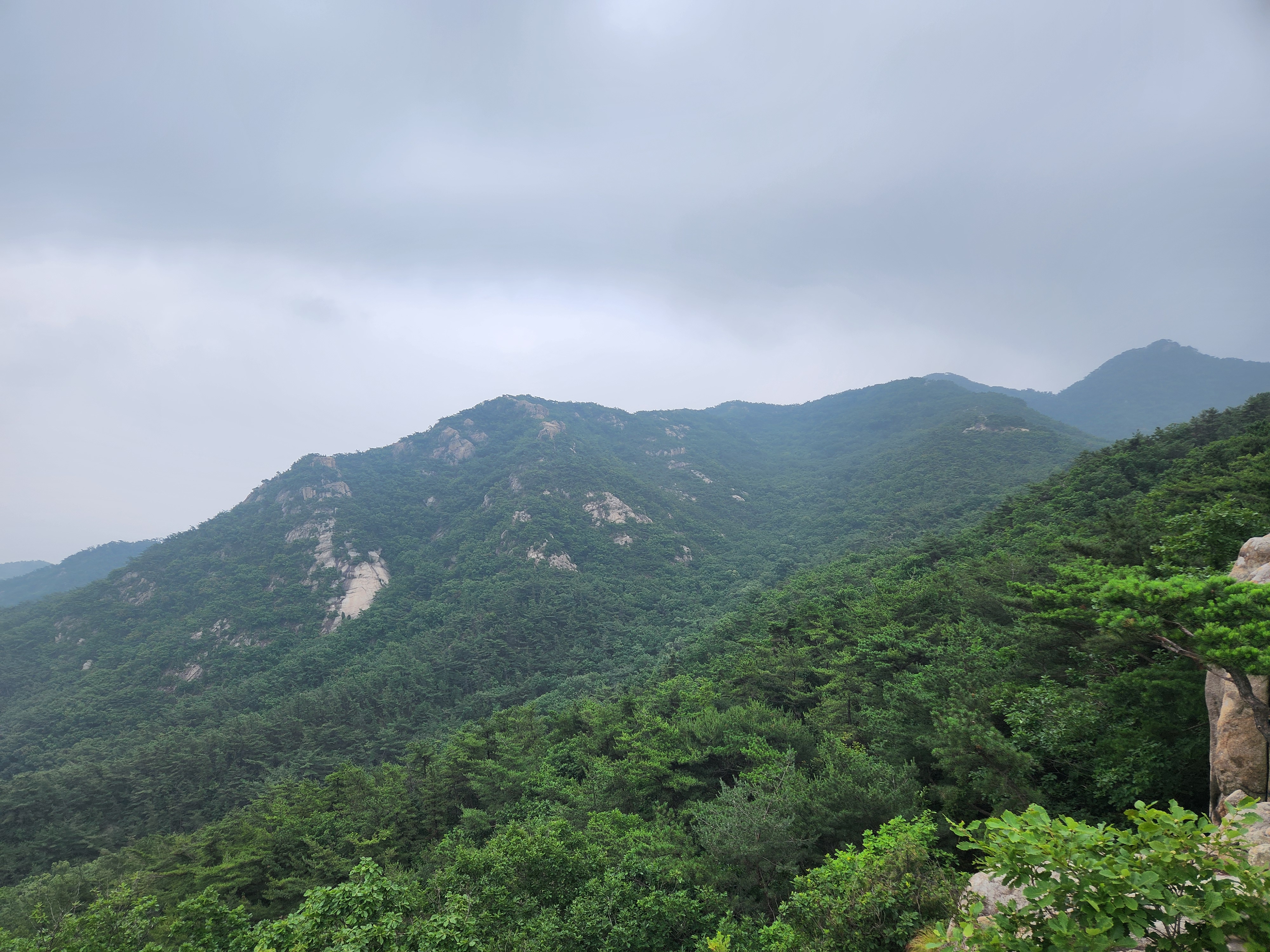관악산 (48)