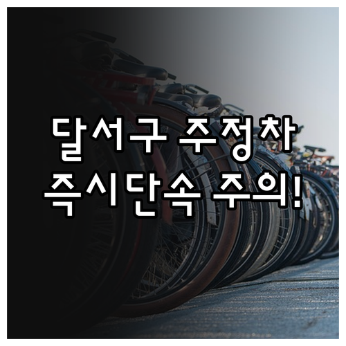 대구 달서구 주정차 단속 문자 알림 ..