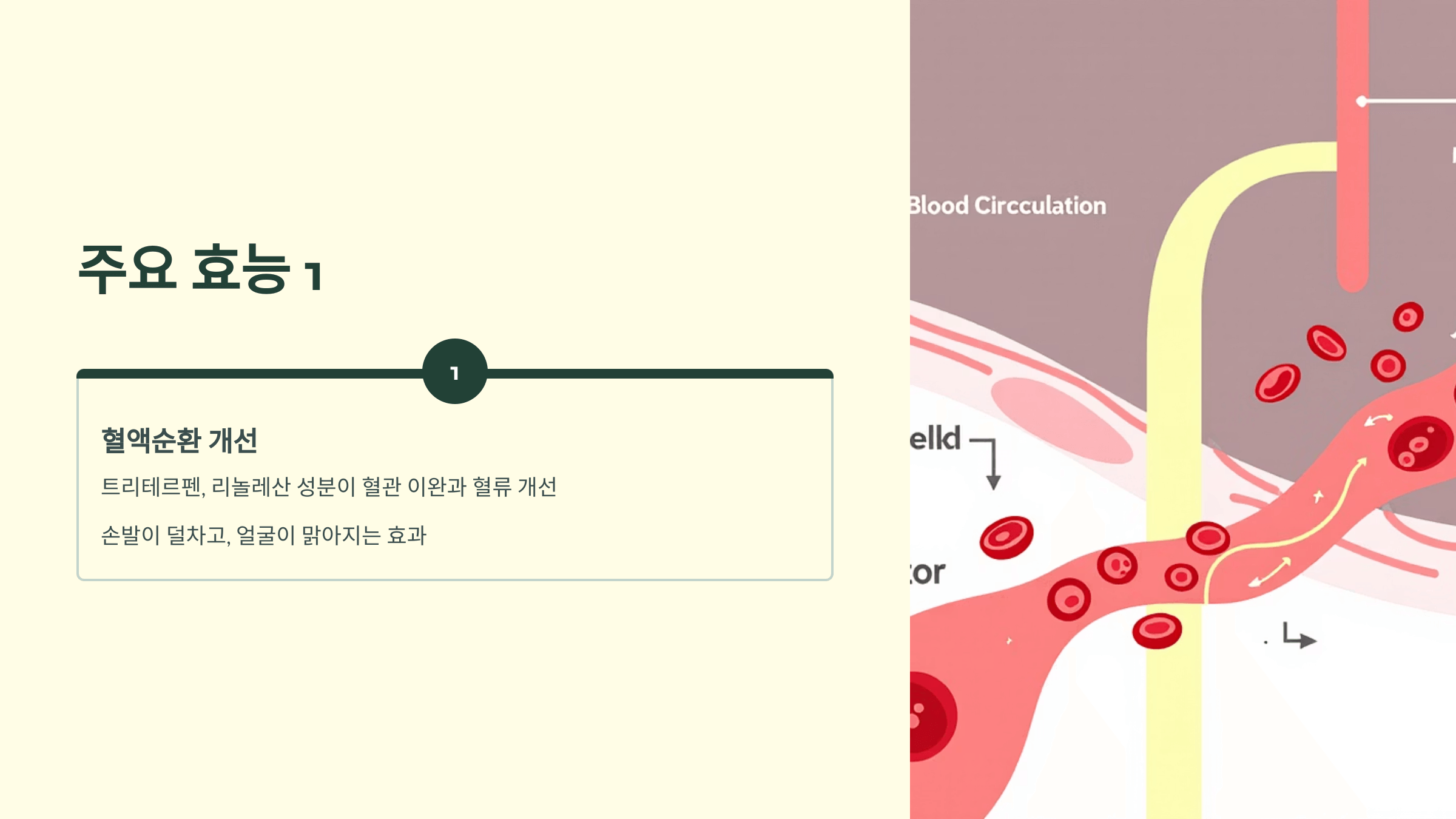 홍화씨 사진입니다.