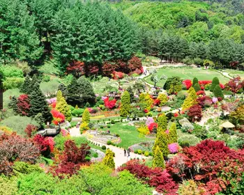 아침고요수목원_12