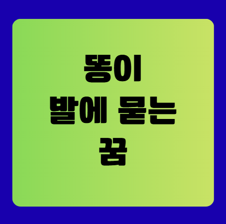 똥이 발에 묻는 꿈 해몽(똥꿈해몽풀이, 무료꿈해몽풀이)