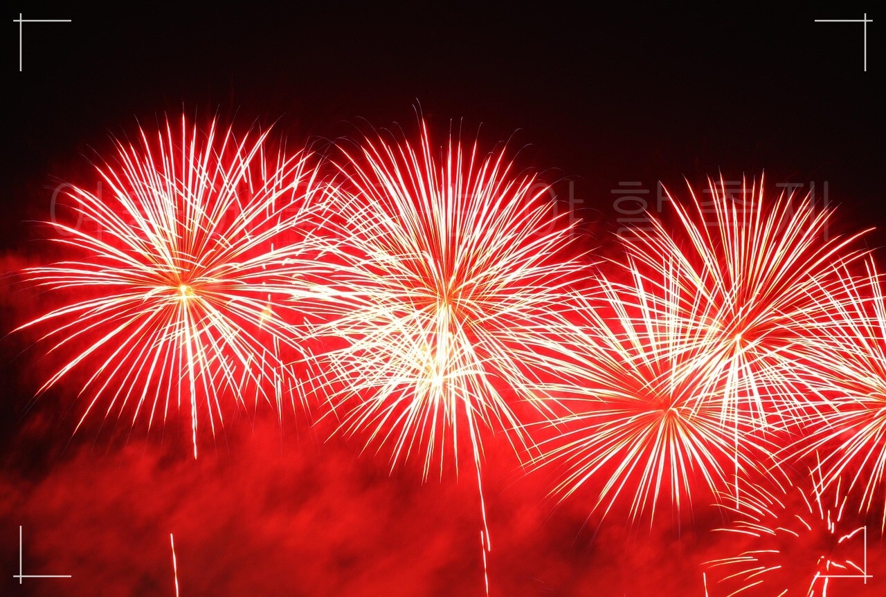 인기 축제 BEST 7, 올해 가장 기대되는 축제, 여름에 꼭 가봐야 할 인기있는 축제