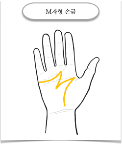 M자형 손금