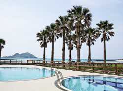 일본 여행지 추천 순위 꼭 가볼만한 곳