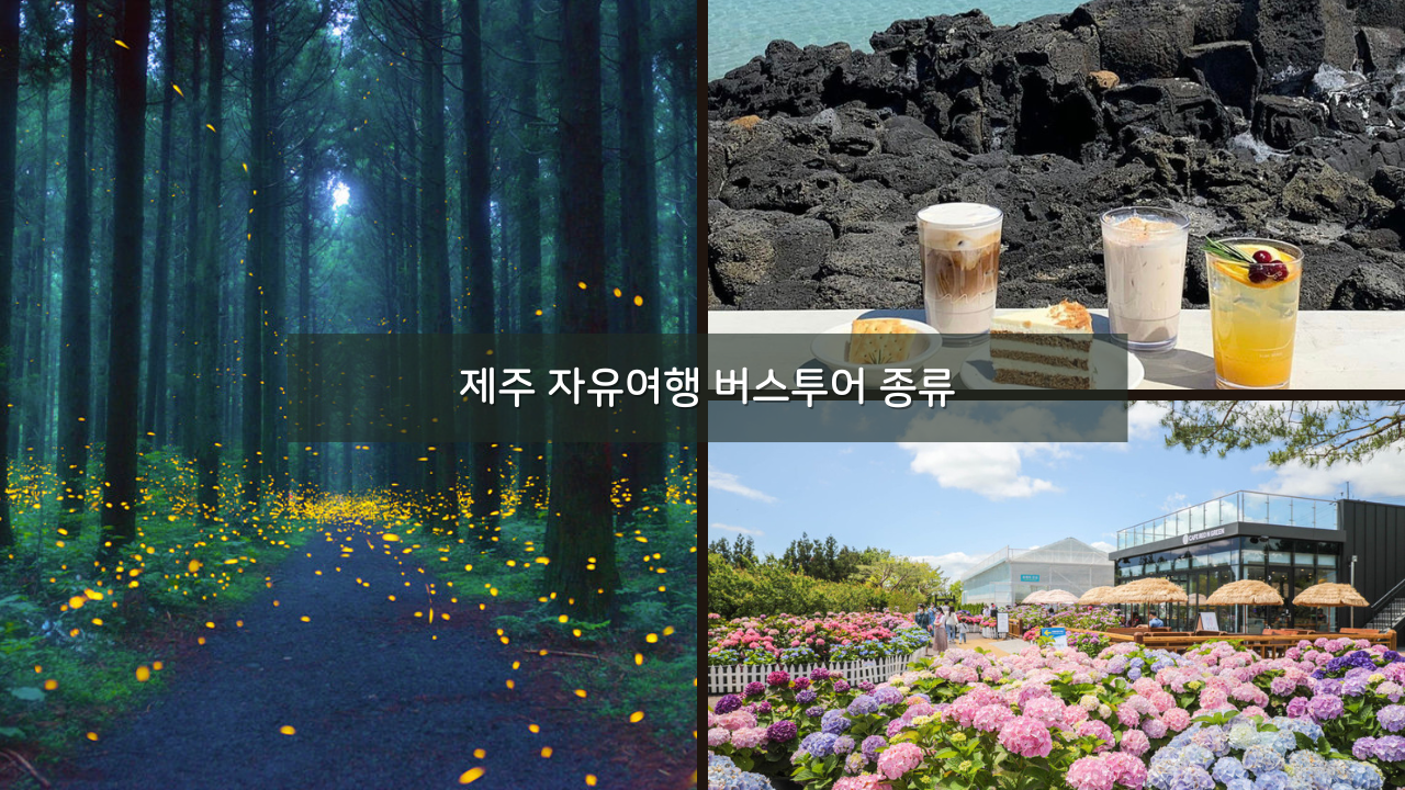 제주 자유여행 동부 서부 프리미엄 감성 제주 버스투어 종류