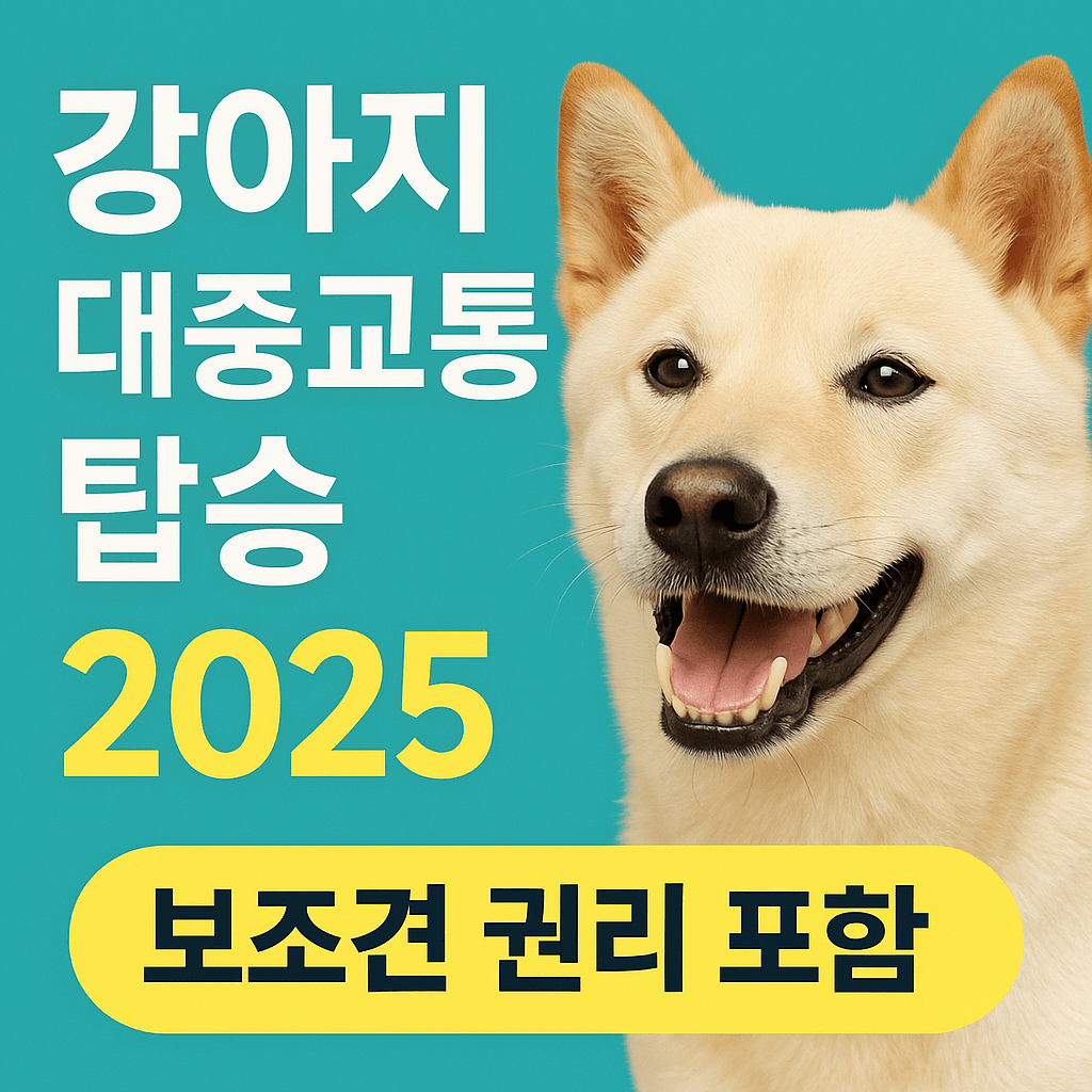 강아지 대중교통 탑승 방법