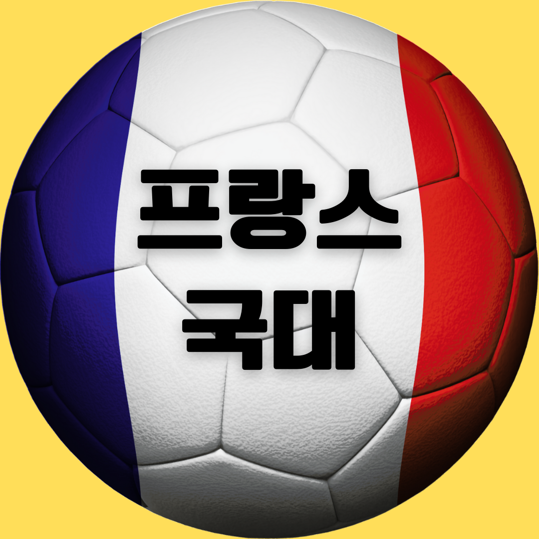 프랑스 스쿼드
