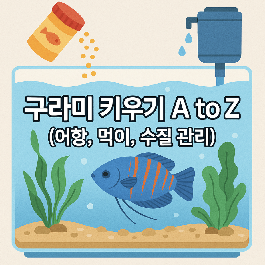 구라미 키우기 A to Z (어항, 먹이, 수질 관리)
