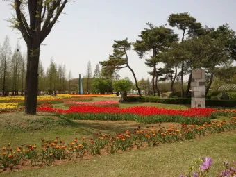 5월 가봐야할 전국 축제 10선 가족 연인 최고 명소_22