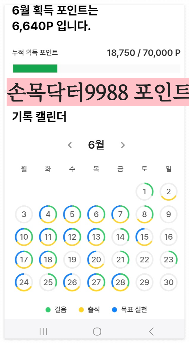 손목닥터 포인트