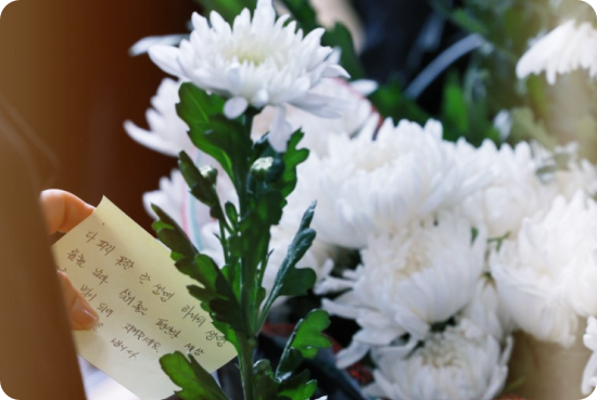 이태원-할로윈-장례비용-지원