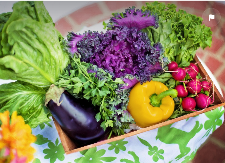 면역력을 높이는 영양소와 추천 음식