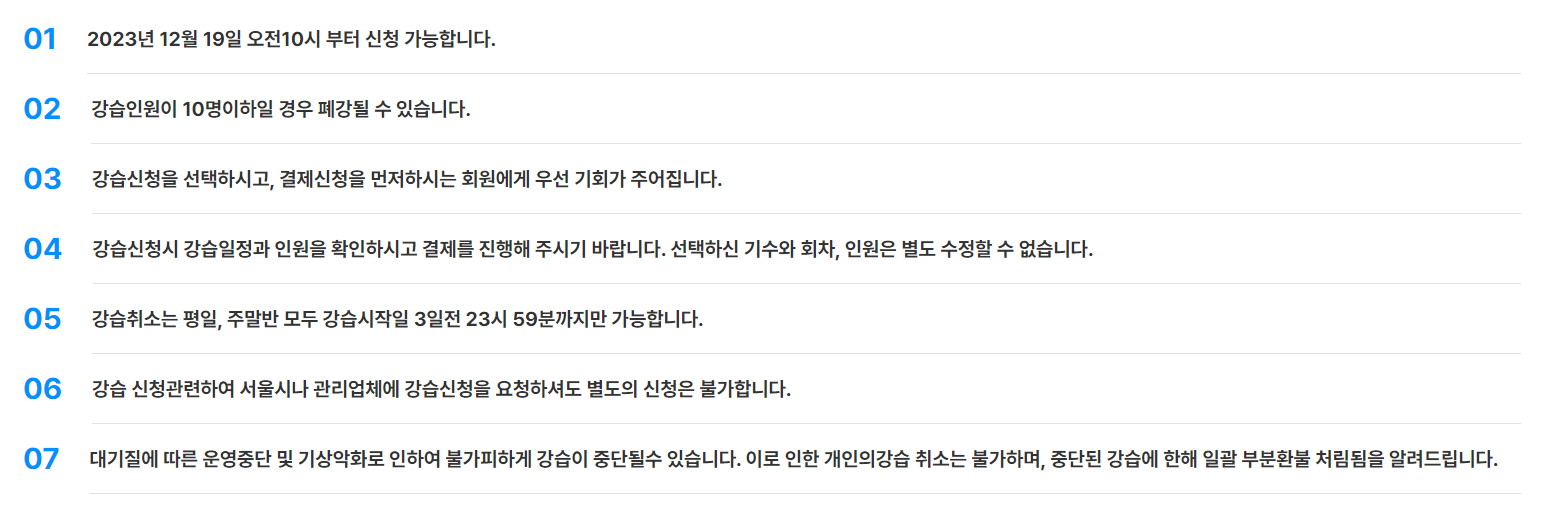 서울광장 스케이트장