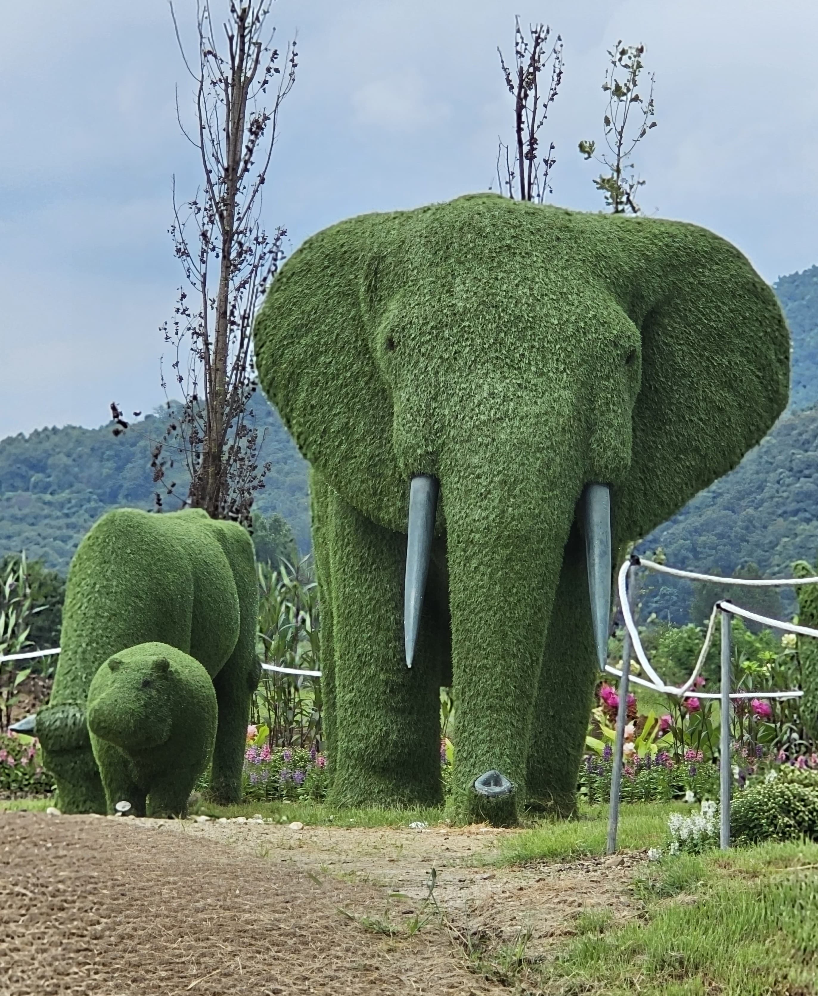 2025 가을 포천 한탄강 가든 페스타