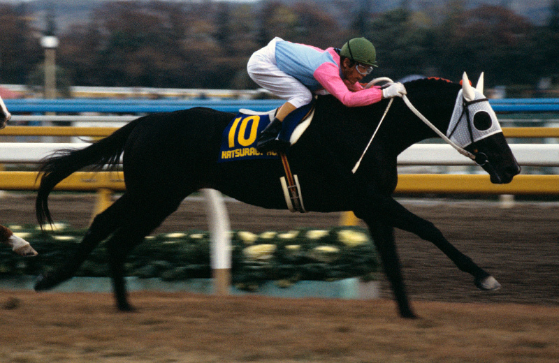 카츠라기 에이스 열전 : 에이스 오브 재팬의 황혼 1