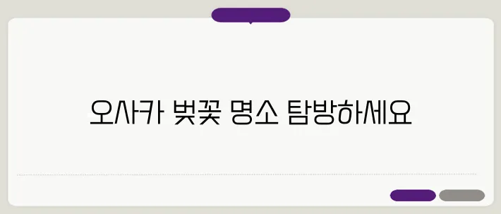 2025년 오사카의 벚꽃 명소, 반드시 방문해야 할 장소들