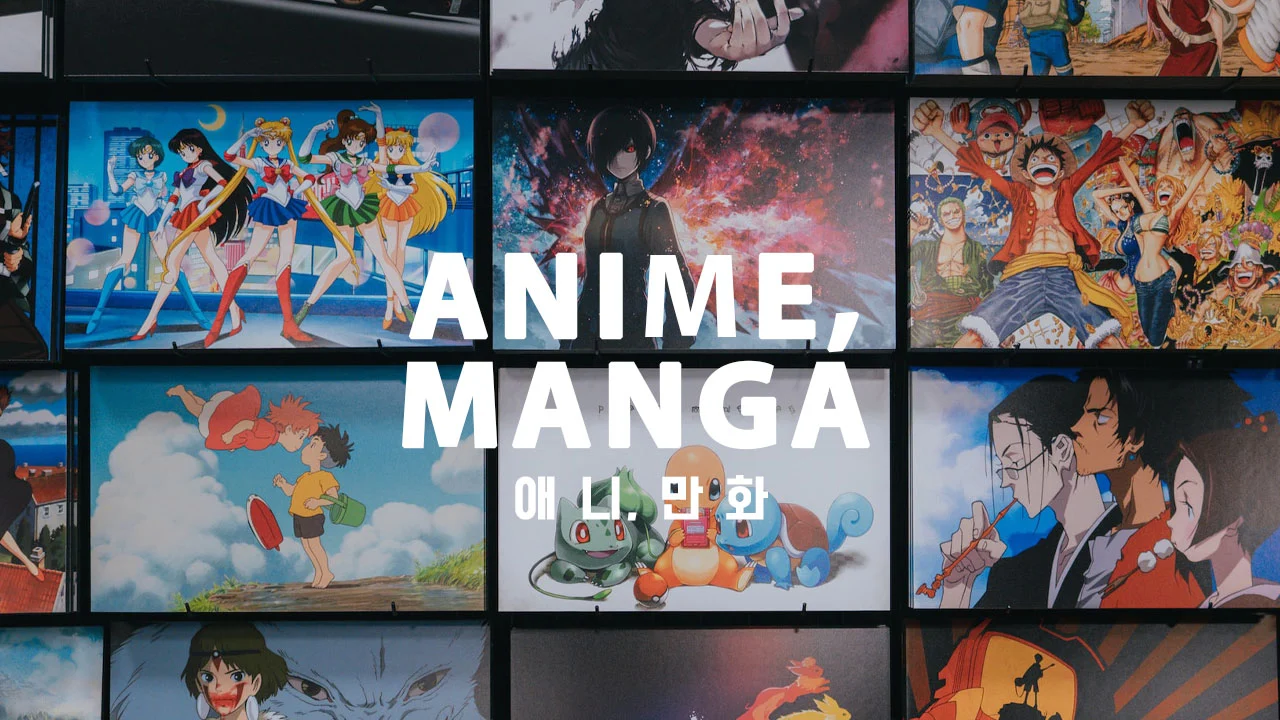 애니만화 카테고리