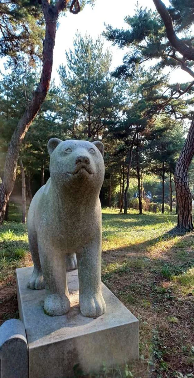 곰사당