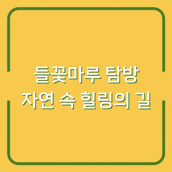 들꽃마루 탐방 자연 속 힐링의 길
