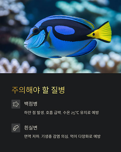 백점병 주의