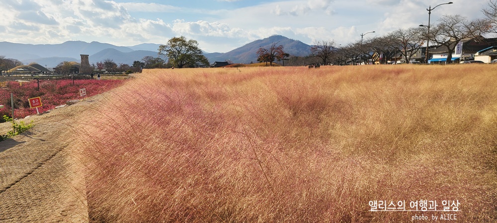 경주 한복입고 사진찍기 좋은 예쁜 장소 BEST 10 동부사적지구