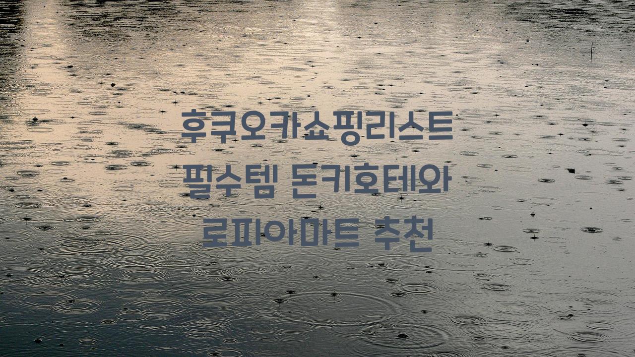 후쿠오카쇼핑리스트