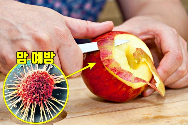 사과껍질 효능,팁줌