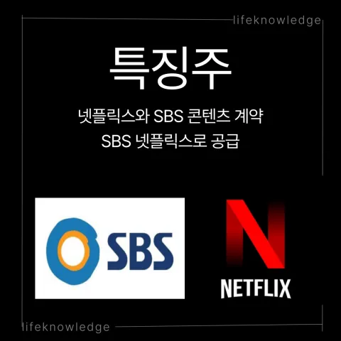 SBS 넷플릭스 파트너쉽 영화 예능 드라마