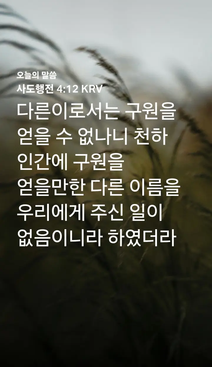 사도행전 4장12절