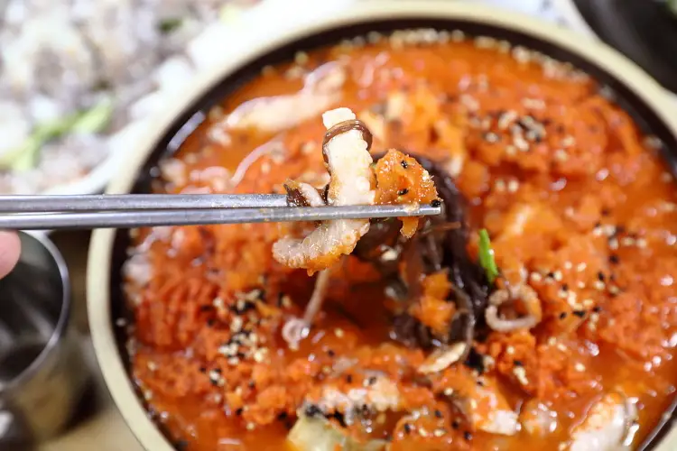 국내산 낙지로 만든 낙지볶음 & 낙지 물회 맛있는 곳 추천