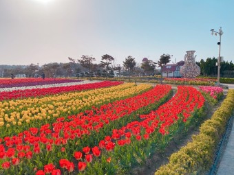 신안 임자도 큘립축제