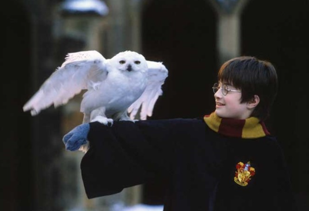 해리포터 시리즈 인기 순위 추천