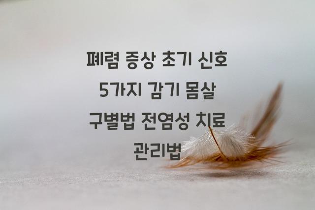 폐렴 증상