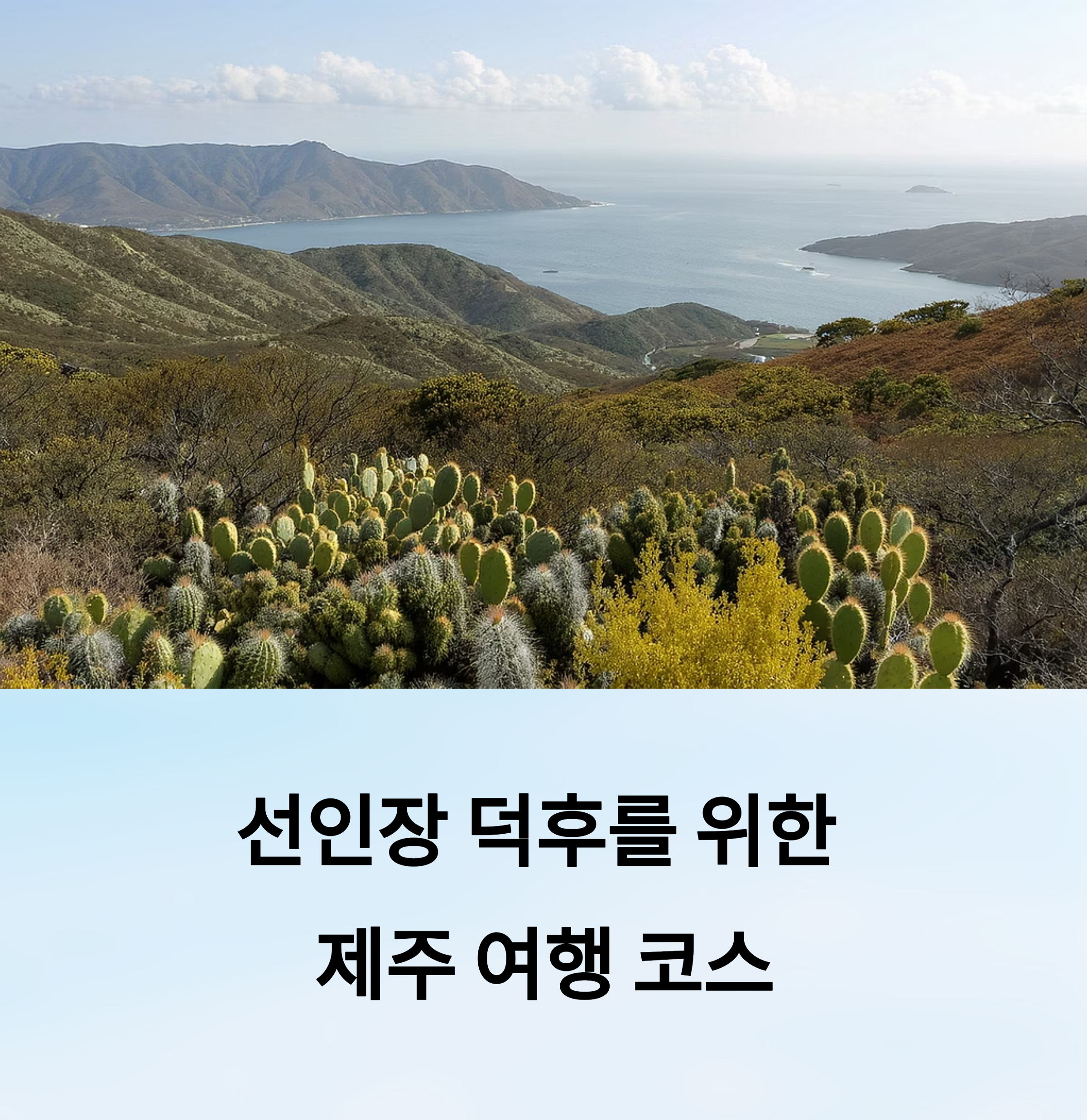 선인장을 좋아한다면 꼭 가봐야 할 제주 원예 명소