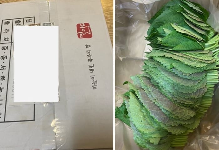 깻잎-택배도착