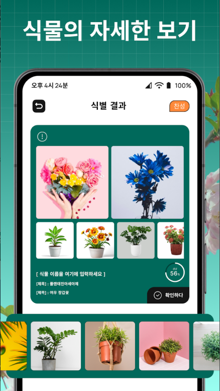식물 이름 찾기 어플 설치, 식물 찾기