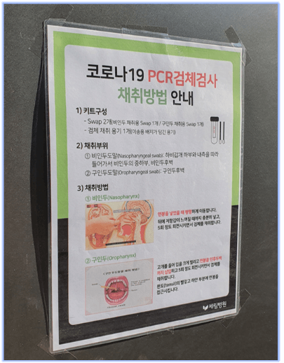 코로나-검사-채취방법