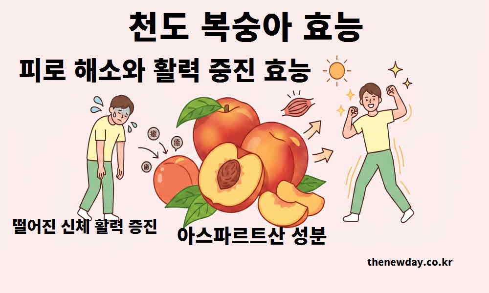 천도 복숭아 효능 피로 해소 활력 증진