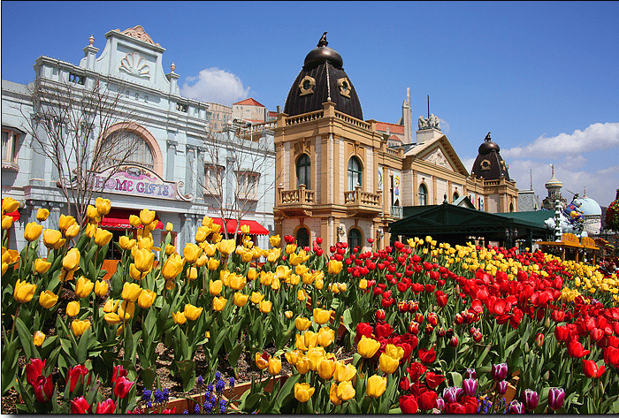 에버랜드 튤립 축제