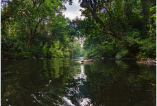 말레이시아 입국신고서 작성법16