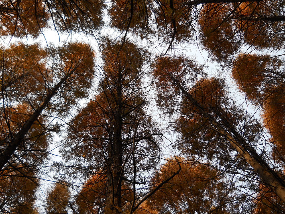 걷고 사랑하며 : 시간이 멈춘 안산자락길을 미치도록 걷고 싶다!