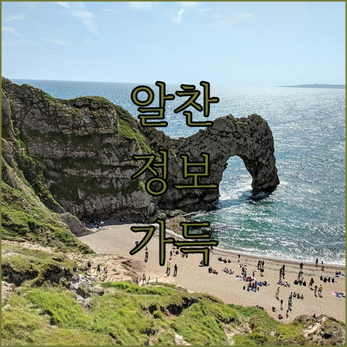 여름 필수템, 스위스밀리터리 날개없는..