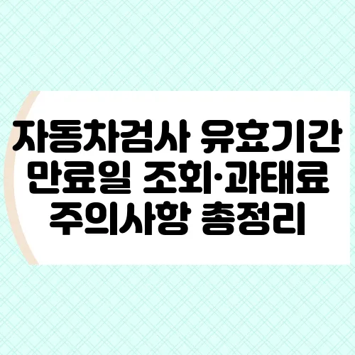 자동차검사 유효기간 만료일 조회·과태료 주의사항 총정리